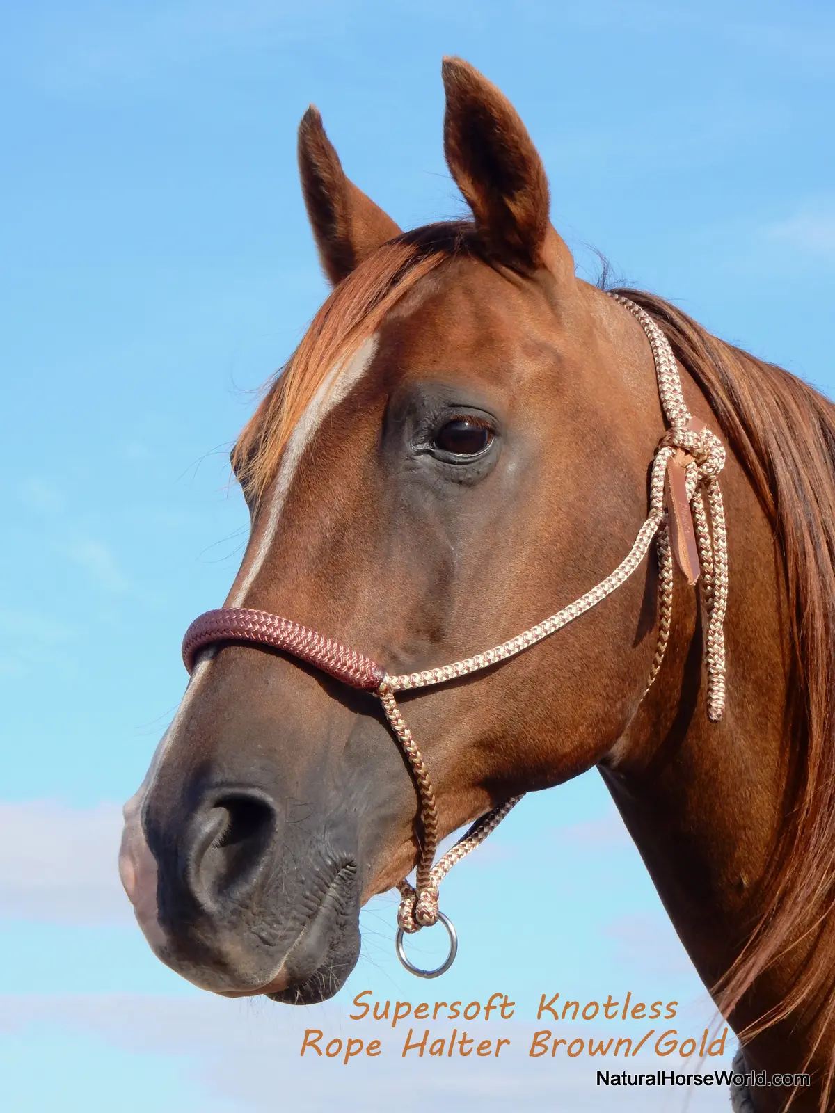 SuperSoft Knotless Rope Halter with contrasting noseband cover