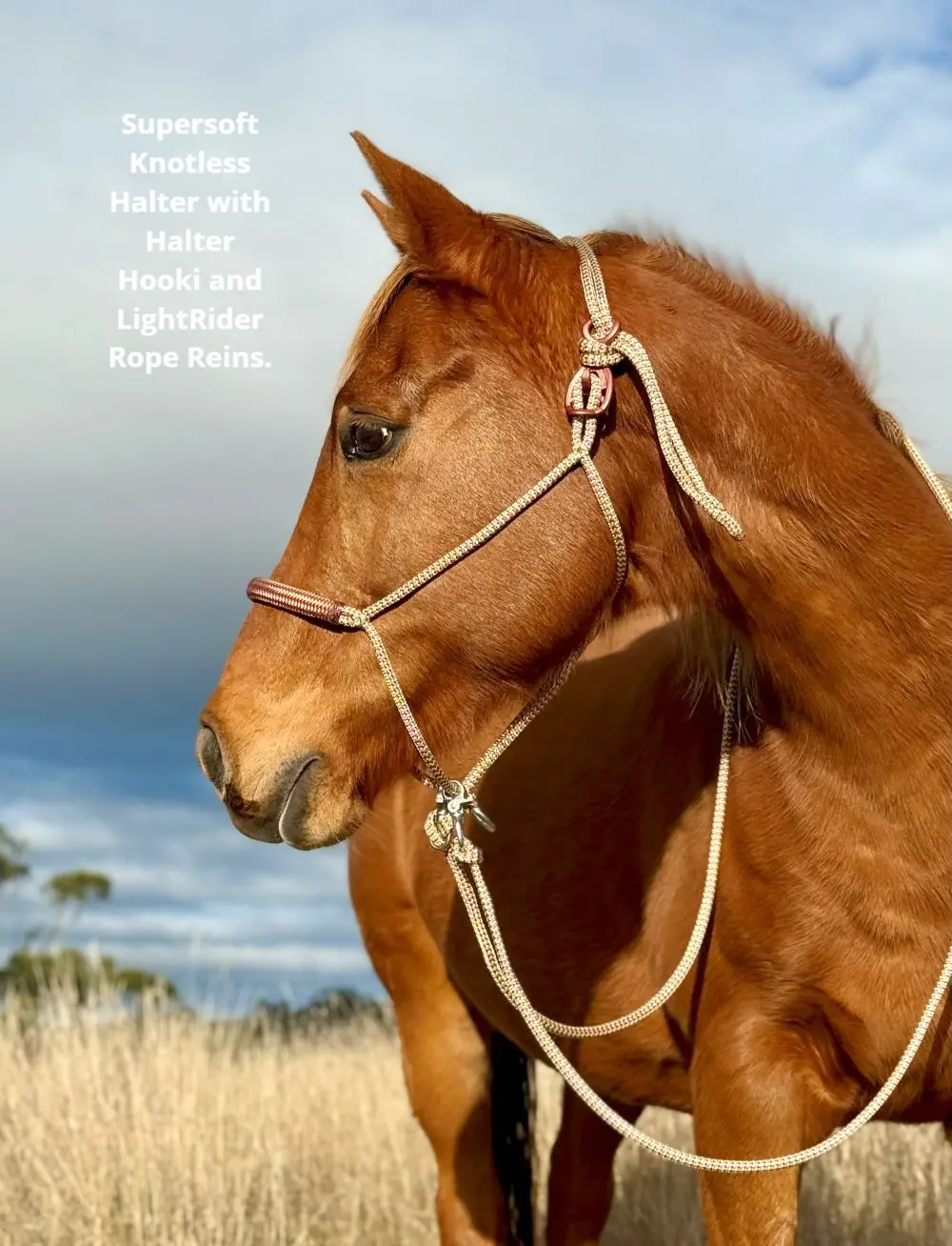 SupersoftKnotlessHalterWithReins