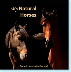 My Natural Horses book